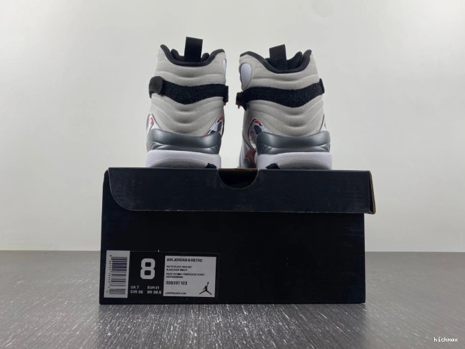 Rep 8 Bugs (2013) Air Jordan Retro 305381-103 Bunny 0716